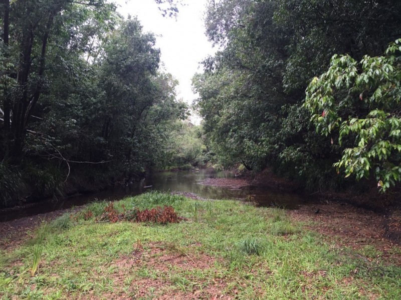 Lot 2 Lowmead Road, Lowmead QLD 4676