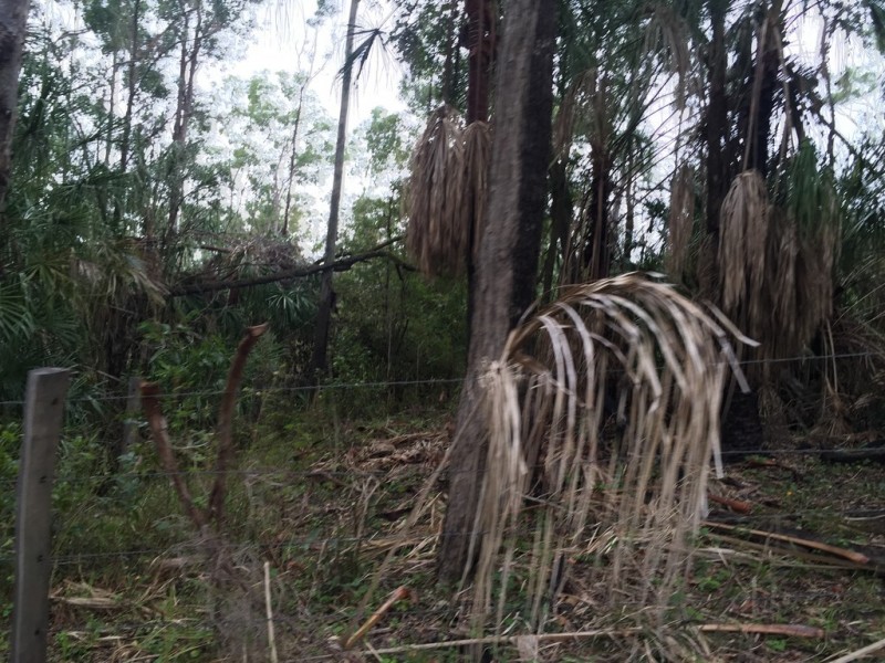 Lot 2 Lowmead Road, Lowmead QLD 4676