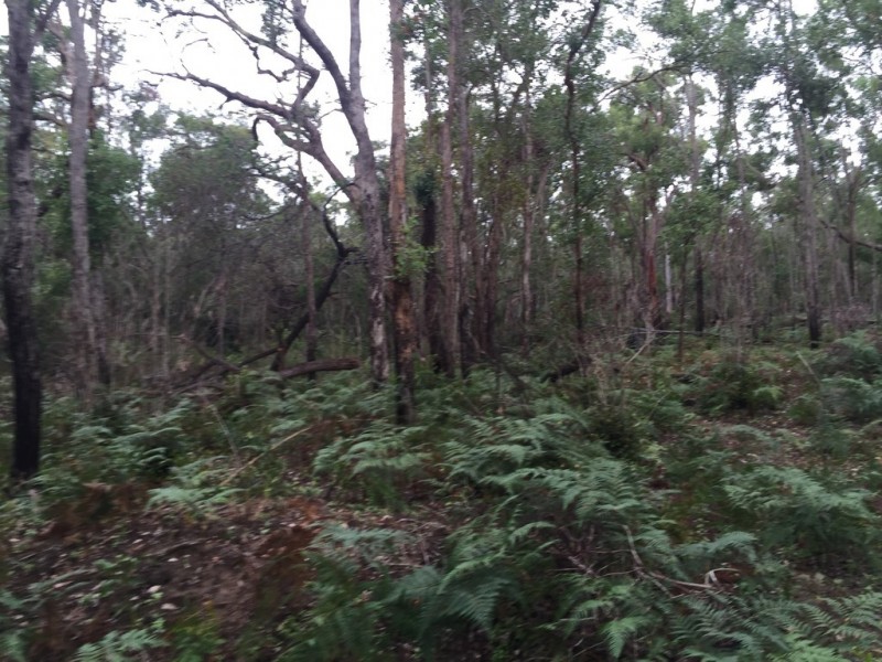 Lot 2 Lowmead Road, Lowmead QLD 4676