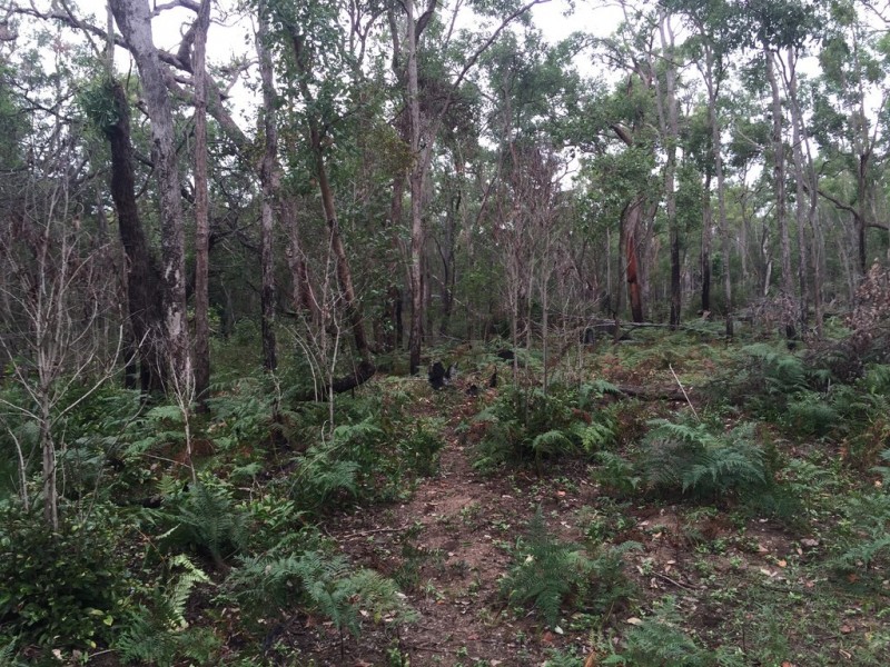 Lot 2 Lowmead Road, Lowmead QLD 4676