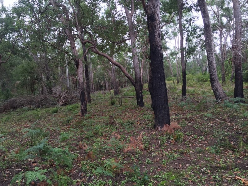 Lot 2 Lowmead Road, Lowmead QLD 4676