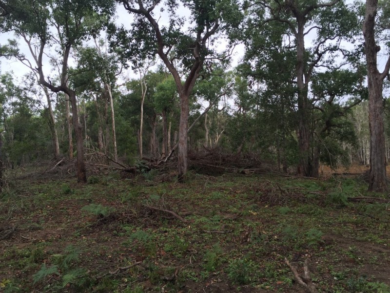 Lot 2 Lowmead Road, Lowmead QLD 4676
