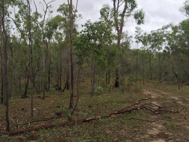 Lot 2 Lowmead Road, Lowmead QLD 4676