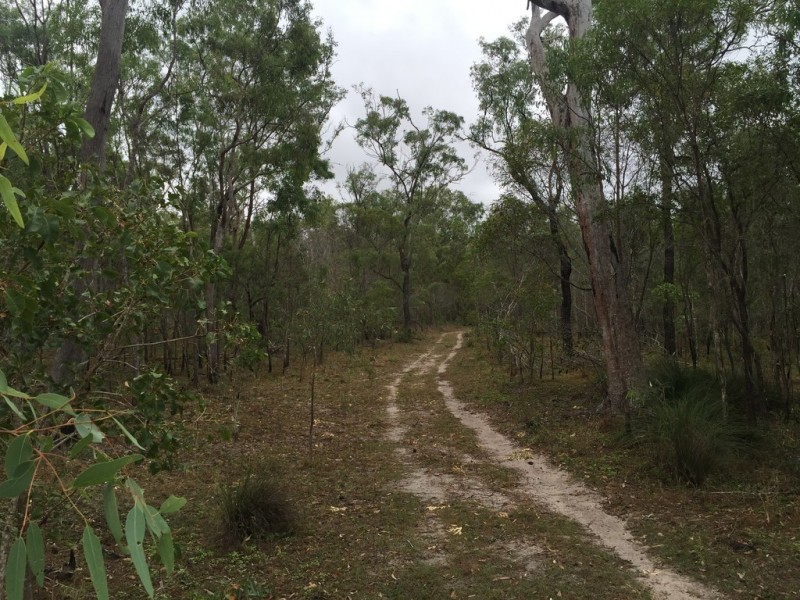 Lot 2 Lowmead Road, Lowmead QLD 4676