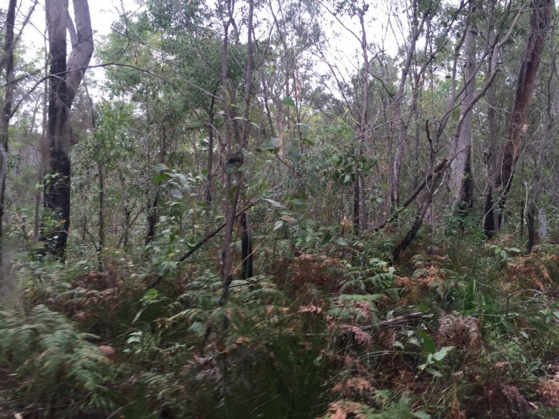 Lot 2 Lowmead Road, Lowmead QLD 4676