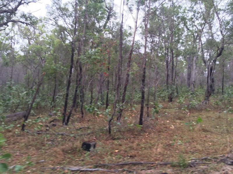 Lot 2 Lowmead Road, Lowmead QLD 4676