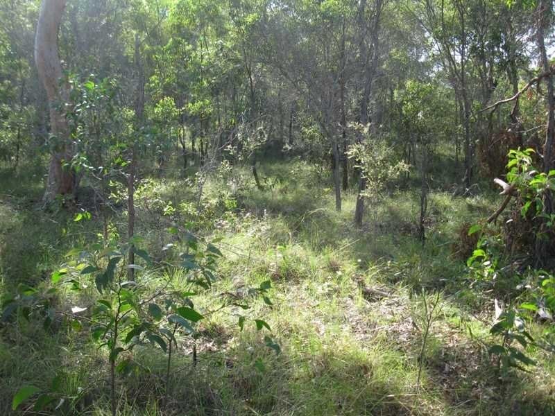 Captain Creek QLD 4677