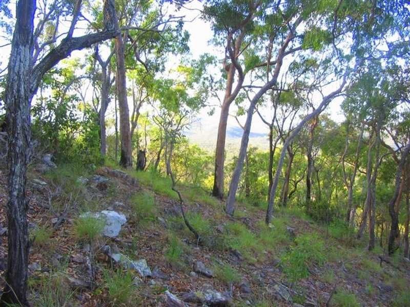 Captain Creek QLD 4677