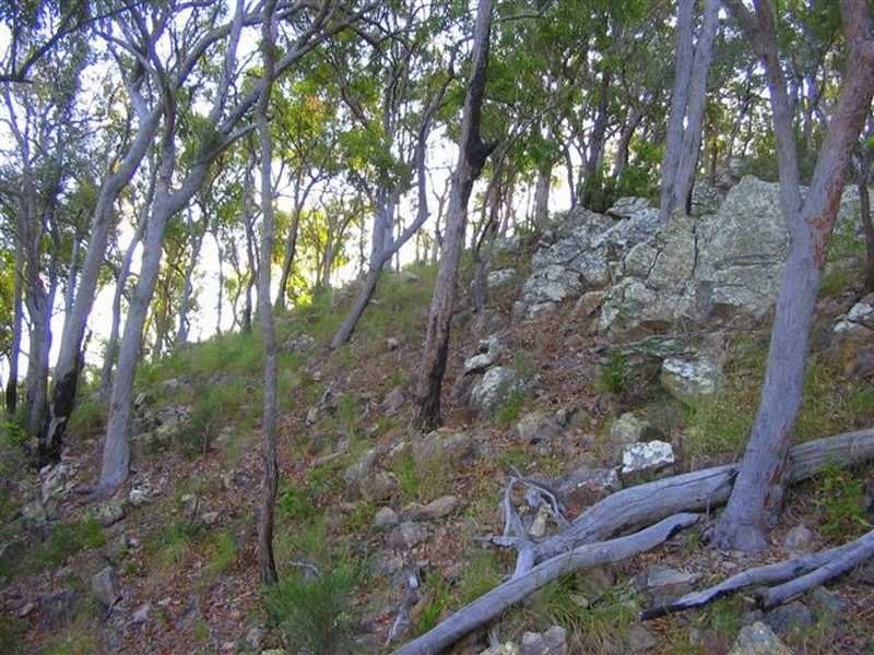 Captain Creek QLD 4677