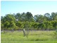 186 Dahls Rd, Colosseum QLD 4677