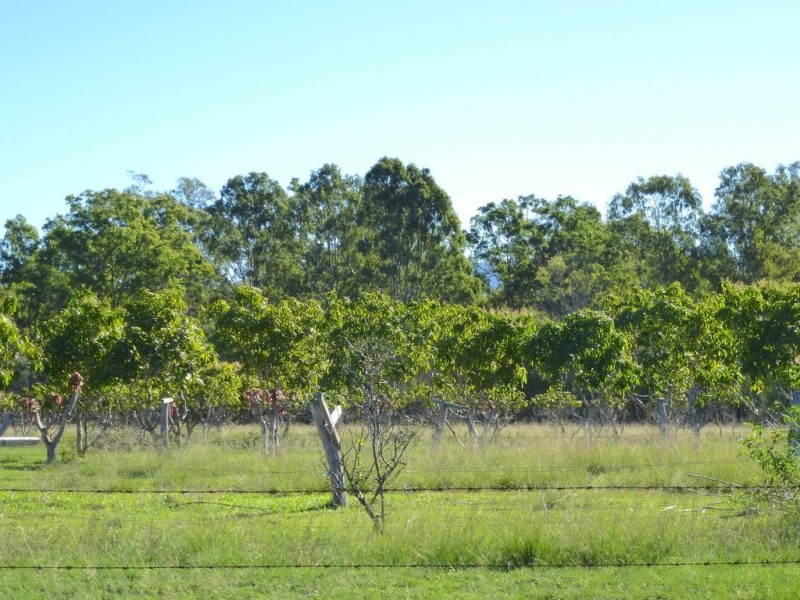 186 Dahls Rd, Colosseum QLD 4677