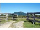 186 Dahls Rd, Colosseum QLD 4677