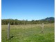 186 Dahls Rd, Colosseum QLD 4677