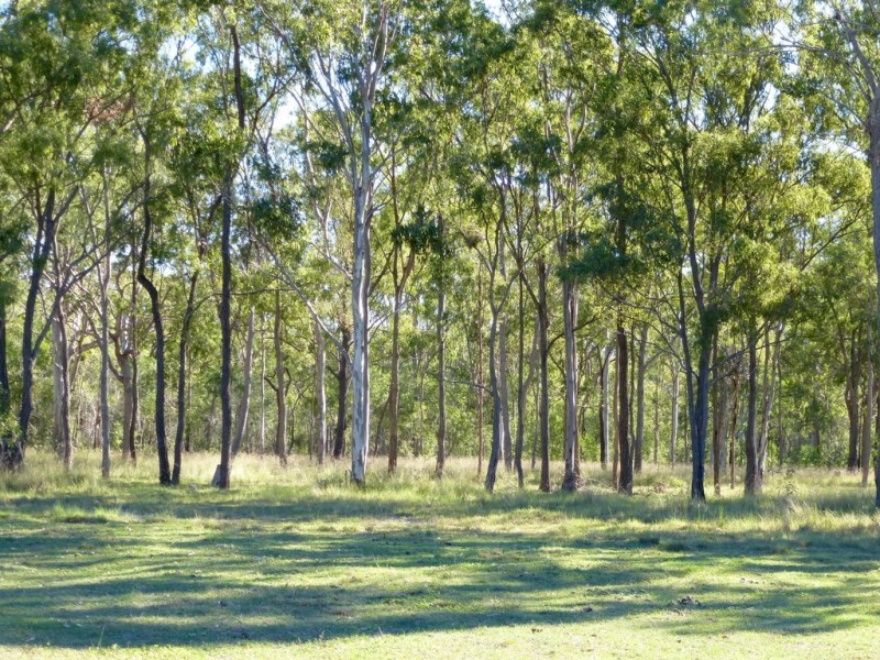 186 Dahls Rd, Colosseum QLD 4677