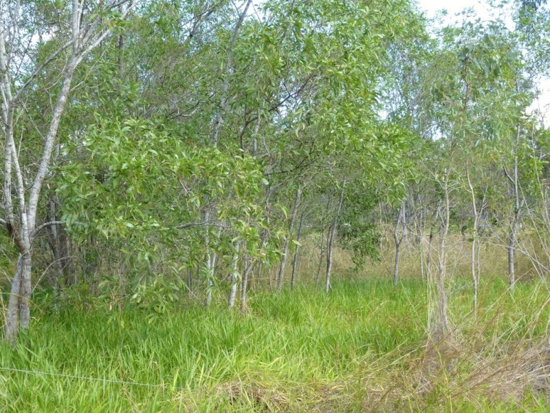 26 James Street, Rosedale QLD 4674