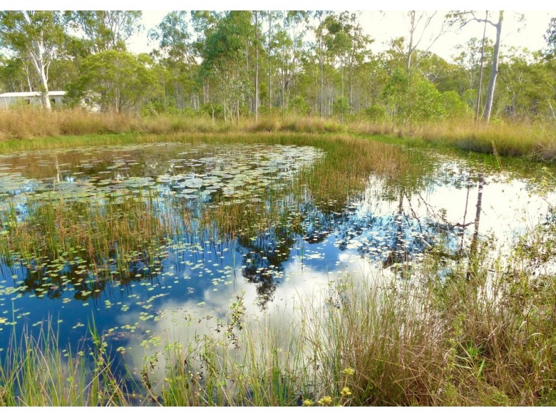 26 James Street, Rosedale QLD 4674