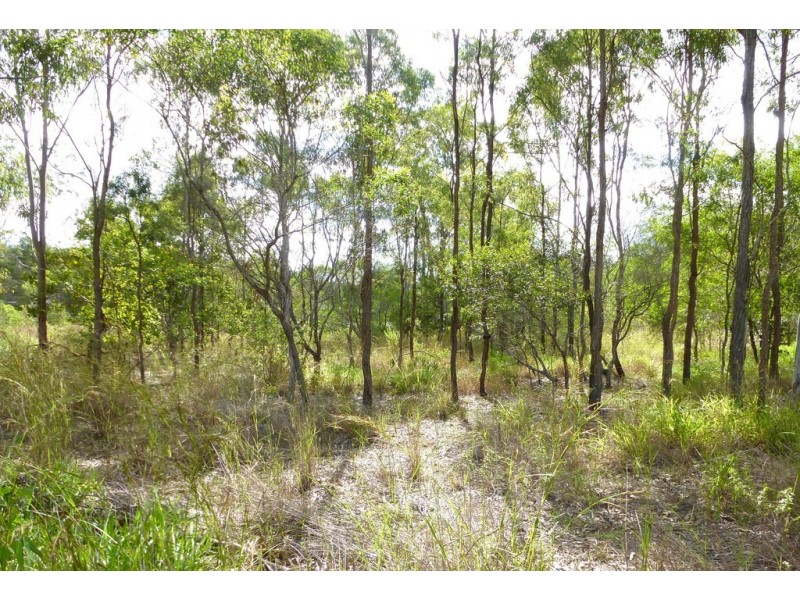 26 James Street, Rosedale QLD 4674