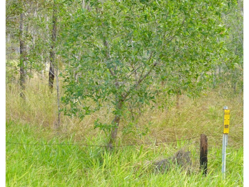 26 James Street, Rosedale QLD 4674