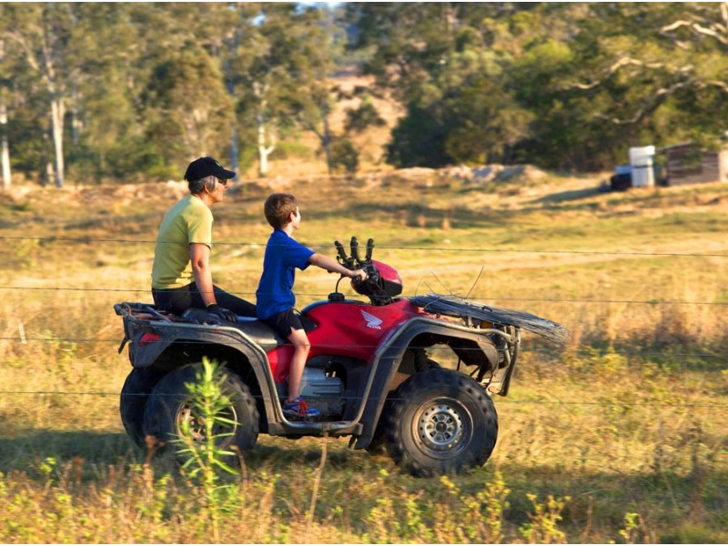 537 Hallorans Road, Mount Tom QLD 4677