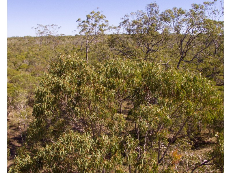 Lot 10 Lindy Drive, Rules Beach QLD 4674