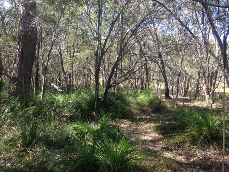 Agnes Water QLD 4677