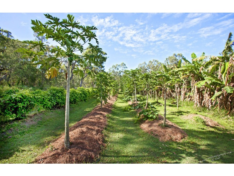 115 Uxbridge Road, Round Hill QLD 4677