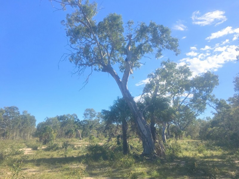 Agnes Water QLD 4677