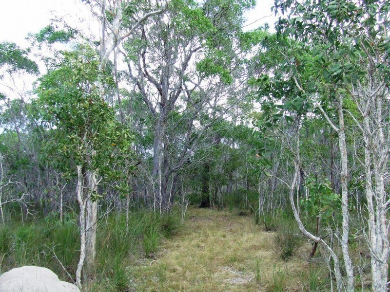 Captain Creek QLD 4677