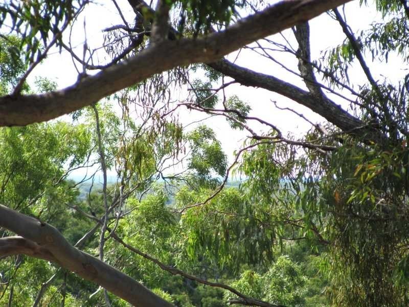 Lot 153, 174 Josefski, Agnes Water QLD 4677