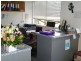 42651 Bruce Highway, Colosseum QLD 4677
