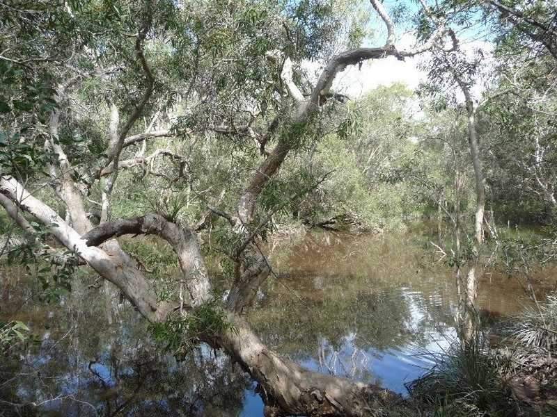 1345 Tableland Road, Mount Maria QLD 4674