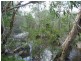 1345 Tableland Road, Mount Maria QLD 4674