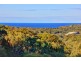 41 Seaspray Drive, Agnes Water QLD 4677