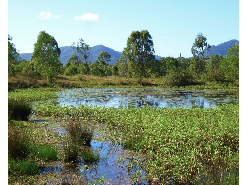 Lot 30 & Lot 4 Redhill Road, Bororen QLD 4678