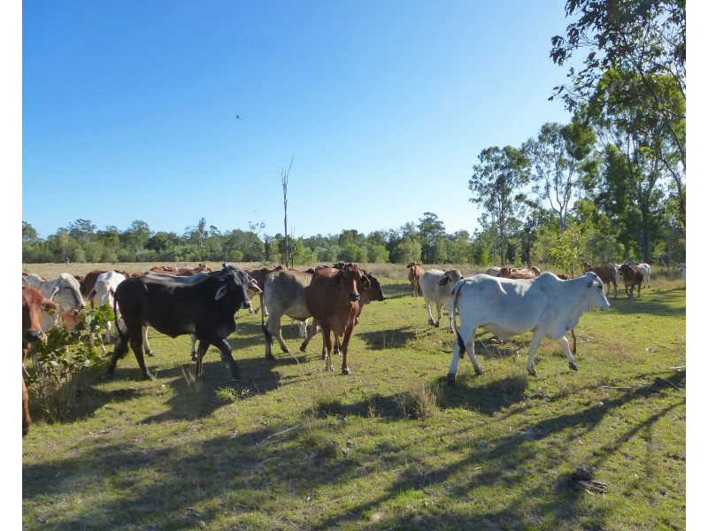Lot 30 & Lot 4 Redhill Road, Bororen QLD 4678