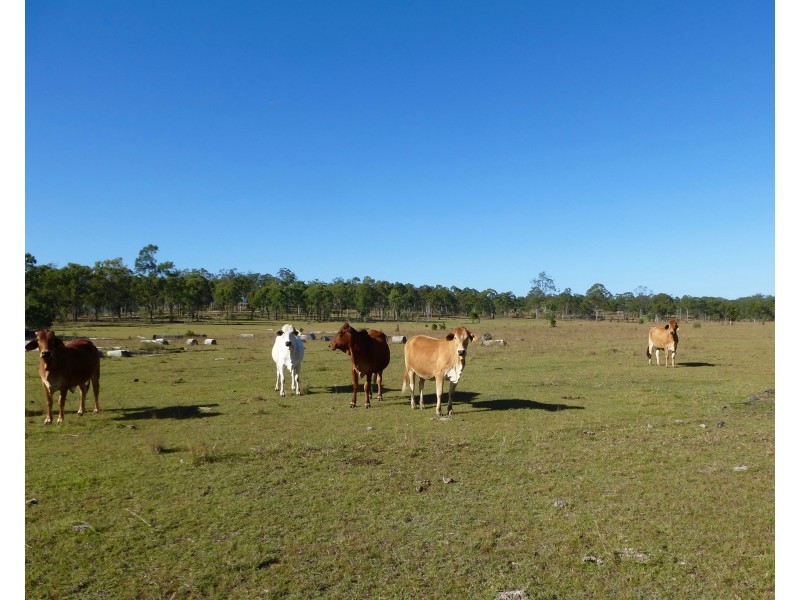 Lot 30 & Lot 4 Redhill Road, Bororen QLD 4678