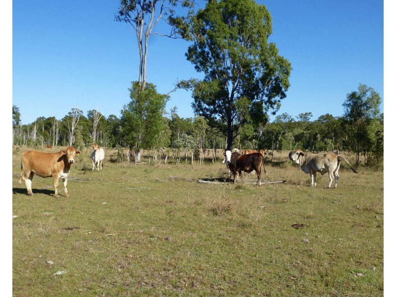 Lot 30 & Lot 4 Redhill Road, Bororen QLD 4678