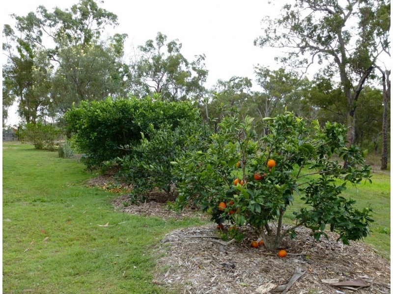 1815 Tableland Road, Mount Maria QLD 4674