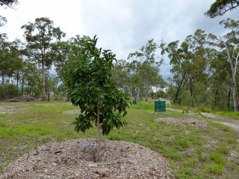 1815 Tableland Road, Mount Maria QLD 4674