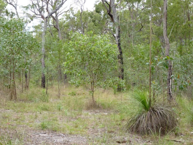 1815 Tableland Road, Mount Maria QLD 4674