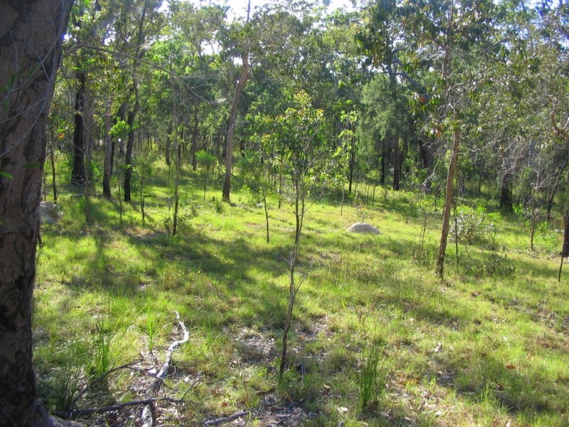 lot 207 Davies Road, Captain Creek QLD 4677