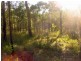 lot 207 Davies Road, Captain Creek QLD 4677