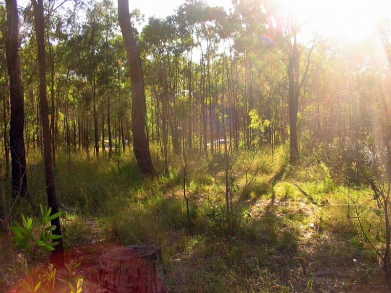 lot 207 Davies Road, Captain Creek QLD 4677