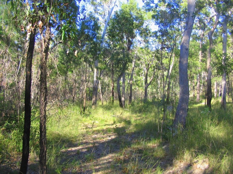lot 207 Davies Road, Captain Creek QLD 4677
