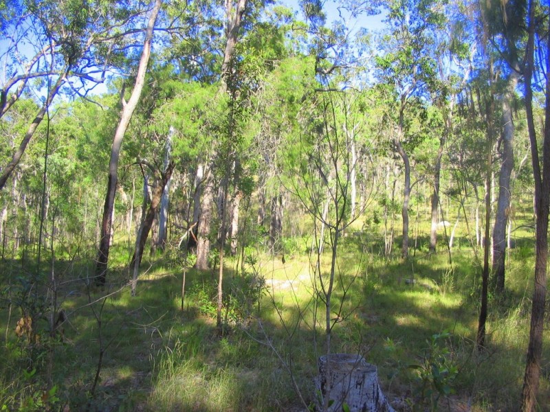 lot 207 Davies Road, Captain Creek QLD 4677