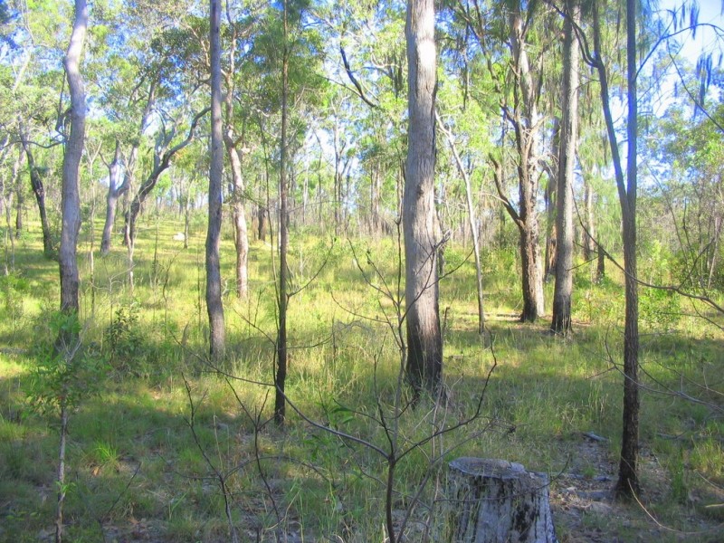 lot 207 Davies Road, Captain Creek QLD 4677