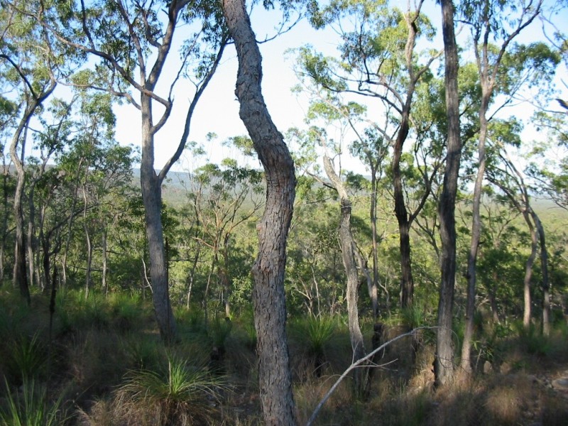 lot 207 Davies Road, Captain Creek QLD 4677