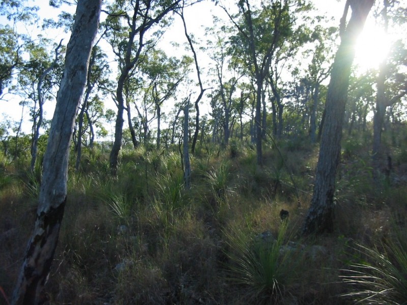 lot 207 Davies Road, Captain Creek QLD 4677