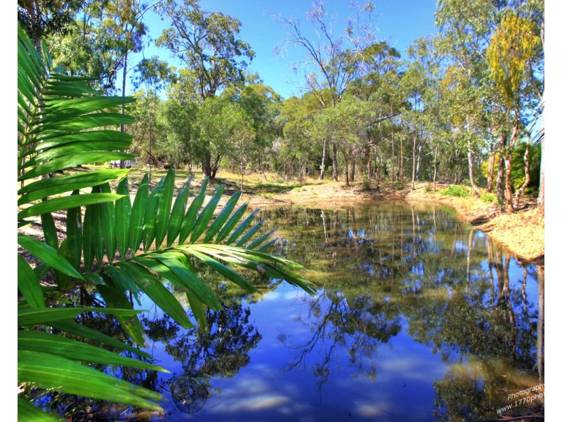 102 Rafting Ground Road, Agnes Water QLD 4677
