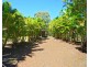 102 Rafting Ground Road, Agnes Water QLD 4677